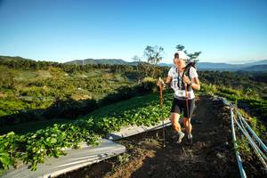 BIB: 
                            <button type="button" onclick="openModal(19109135)" class="btn btn-primary btn-sm float-right btn-popup" data-toggle="modal" data-target=".modal-high-quality">
                        <i class="fas fa-shopping-cart"></i> Add to Cart
                    </button>
                                            <button type="button" onclick="isThisMe(19109135, true)" class="btn btn-success btn-sm float-right btn-popup btn-isme hidden" data-toggle="tooltip" data-placement="bottom" title="นี่คือรูปของคุณใช่ไหม คลิกที่นี่เพื่อเอาเข้าอัลบั้ม">
                        <i class="fas fa-plus"></i> Add to album
                    </button>
                    <button type="button" onclick="isThisMe(19109135, false)" class="btn btn-warning btn-sm float-right btn-popup btn-isnotme hidden">
                        <i class="fas fa-ban"></i> Remove from album
                    </button>